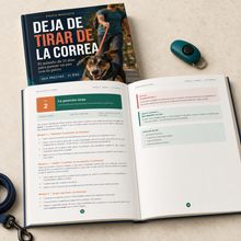 Vista interior del ebook con el programa práctico de 21 días
